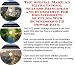 Search : The Special Make An Extra Income, Success Principles and eCommerce for Dog Grooming Supplies Web Businesses 3 CD Power Pack