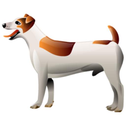 Dogs!