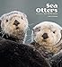 Sea Otters 2016 Calendar