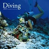 Diving 2010 Square Wall (Multilingual Edition)