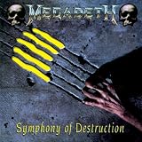 Symphony of Destruction
