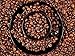 2 Pounds, Whole Bean Coffee: Premium Select From RhoadsRoast Coffees (Kenya AA+ Karundul Coffee Beans Finest Auction Lot, 2 Pounds Medium Roast)