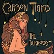 Carbon Tigers - Live in Concert