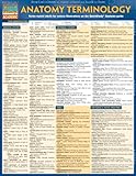 Anatomy Terminology (Quick Study Academic)