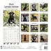 Black Labrador Retriever Calendar - Only Dog Breed Black Labrador Retrievers Calendar - 2016 Wall calendars - Dog Calendars - Monthly Wall Calendar by Avonside