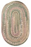 Hearth Braided Area Rug