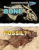 How does a bone become a fossil?