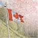 Canada Map Scrapbook Paper