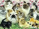 Cats Love Fido 60 pc Puzzle