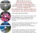 The Guerilla Marketing, Building Effective Lead Capture Web Pages, Business Networking for Acrylic Aquariums Businesses