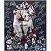 New York Giants 2007 Team Signed - Burress TD Celebration - Limited Edition Autographed 20x24 Photograph with 34 Signatures