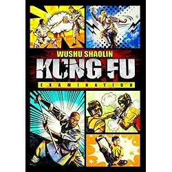 Wushu Shaolin Kung Fu Examination 2013