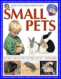 How to Look After Your Small Pets: an owners guide (How to Look After Your)