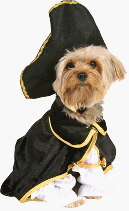 Cinema Secrets 97022 - Captain Canine - Medium