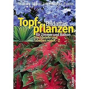 Bildatlas Topfpflanzen für Zimmer und Balkon: Steckbriefe und Tabellen von A - Z (Bildatl
