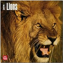 Lions Calendar (Multilingual Edition)