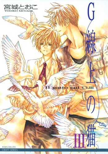 Il Gatto Sul G Volume 3 (Yaoi) (v. 3)