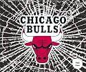 Chicago Bulls Shattered Mini-Cutz Window Decal