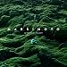 Gr�ner Samt (Limited Samt Edition inkl. Bonus-Tracks)