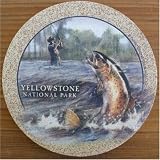 Rainbow Trout Fishing Yellowstone National Park Sandstone Coasters