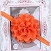 Qandsweet Baby Girl's Headbands Mesh Flower Hair Accessories (11 Pack)