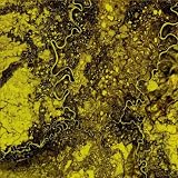 Spirit Spine Glossolalia