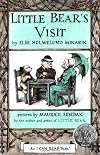 Little Bear's Visit