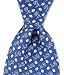Detroit Lions Neck Tie