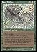 Magic: the Gathering - Land Leeches - The Dark