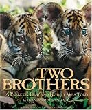 Two Brothers: A Fable on Film and How It Was Told (Newmarket Pictorial Moviebook Series)