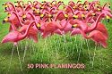 Garden Plast  Pink Flamingos , 50-Pack