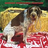 German Wirehaired Pointers 2008 Square Wall