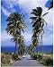 Photographic Print Of East Coast Near Bathsheba Barbados West Indies Caribbean Central America From Robert Harding