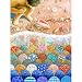 Shells 1000pc Jigsaw Puzzle by Rebecca Barker