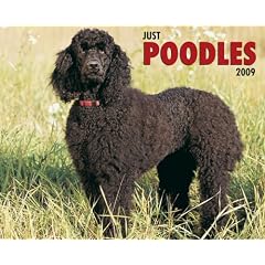 Just Poodles 2009 Calendar