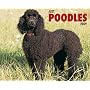 Just Poodles 2009 Calendar