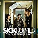 You're Going Down (Radio Edit)