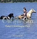 Out Of The Sea: Today's Chincoteague Pony