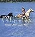 Out of the Sea, Today’s Chincoteague Pony