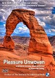 Pleasure Unwoven: An Explanation of the Brain Disease of Addiction
