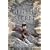 The Genesis Secret: A Novel