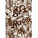 Sex and Race, Vol. 3: Why White and Black Mix in Spite of Opposition