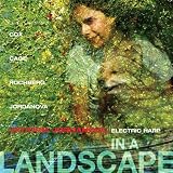 In a Landscape