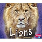 Lions (African Animals)