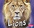 Lions (African Animals)