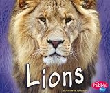 Lions (African Animals) (Pebble Plus: African Animals)