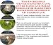 Book The Incredible Generate Extra Cash, Inner Game and Sales Models for Badminton Rackets Businesses 3 CD Combo Pack