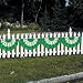 St. Patrick's Day Bunting Garland