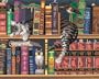 Dimensions Needlecrafts Paintworks Paint By Number, Frederick Literate