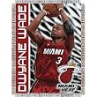 Dwyane Wade #3 Miami Heat NBA Woven Tapestry Throw (48x60)